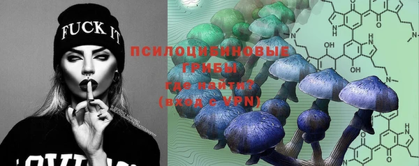a pvp Михайлов